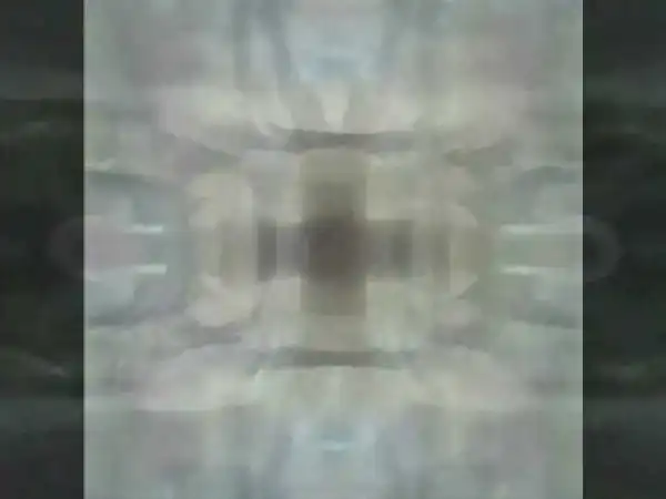 The Swan Silvertones - Stand Up and Testify